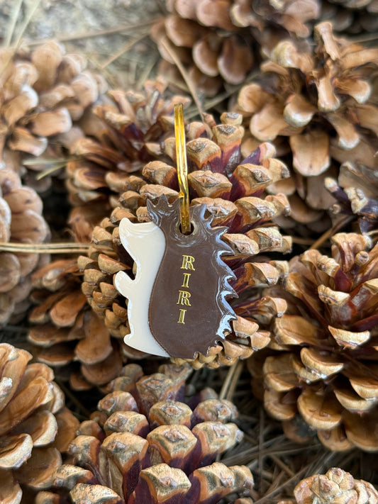 Médaille personnalisée pour chien - Hérisson RIRI🦔