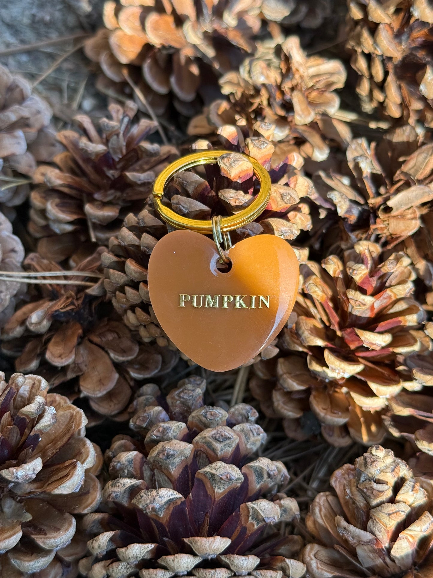 Médaille personnalisée pour chien - PUMPKIN UNIE