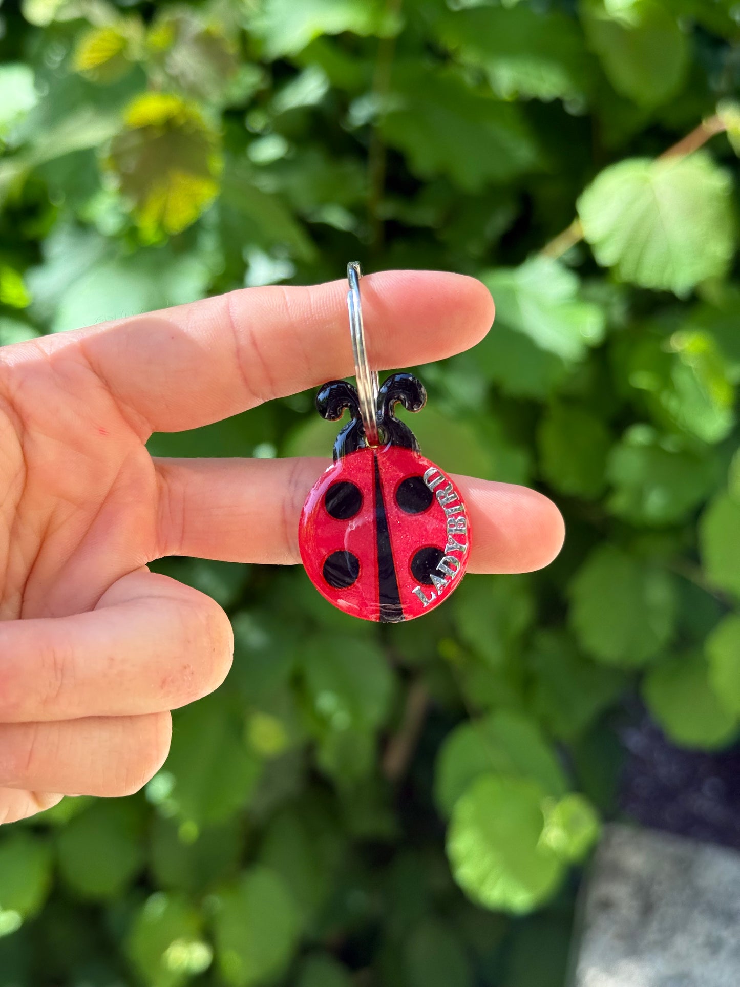 Médaille Coccinelle 🐞