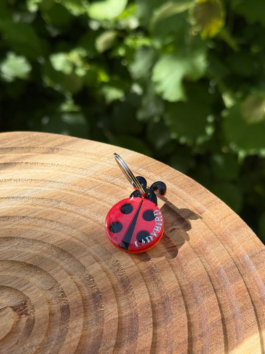 Médaille Coccinelle 🐞