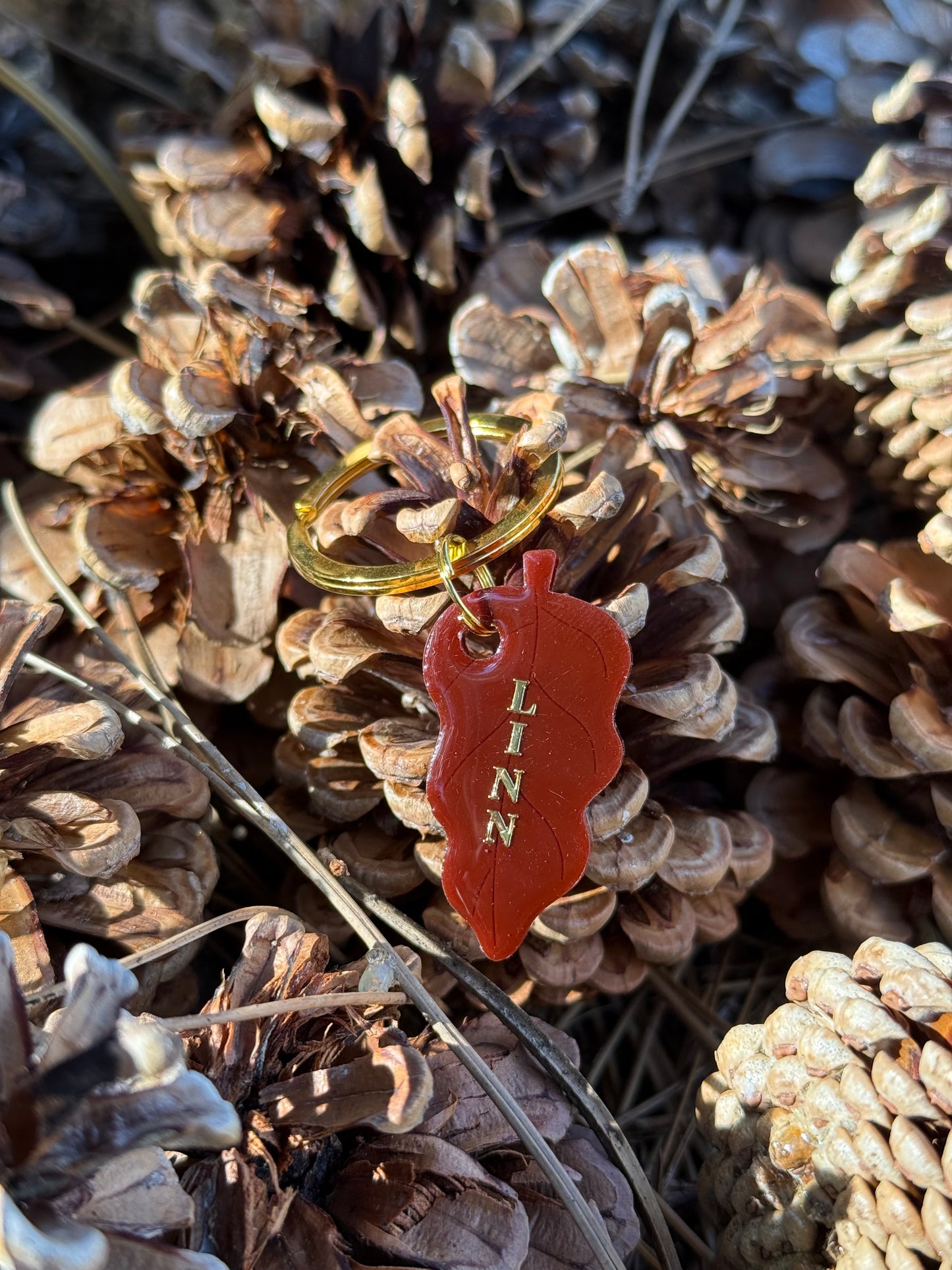 Médaille personnalisée pour chien - Petite feuille LINN (rouge bordeaux)