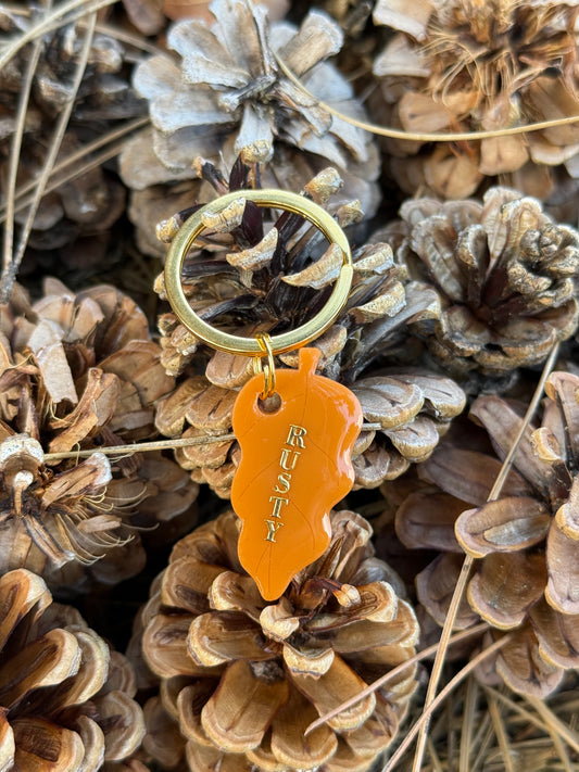 Médaille personnalisée pour chien - Petite feuille RUSTY (brun orangé)