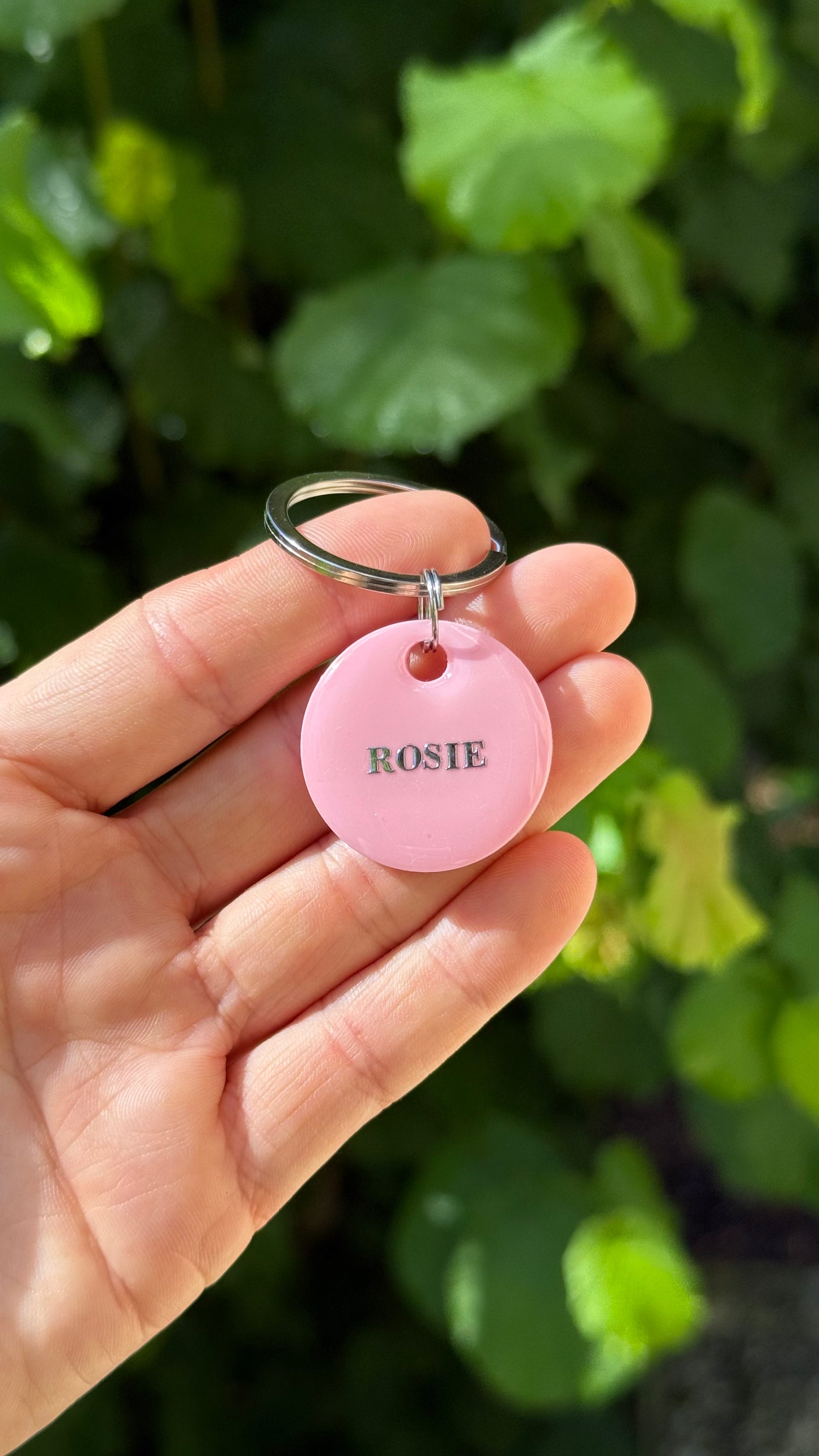 PACK - Rose pastel