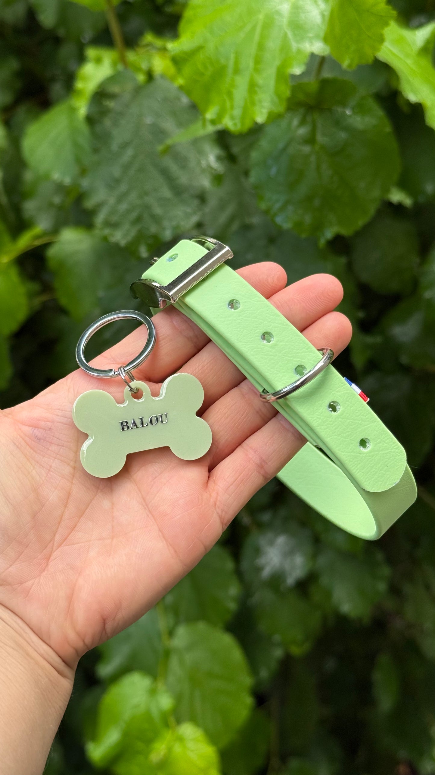 PACK - Vert Pastel