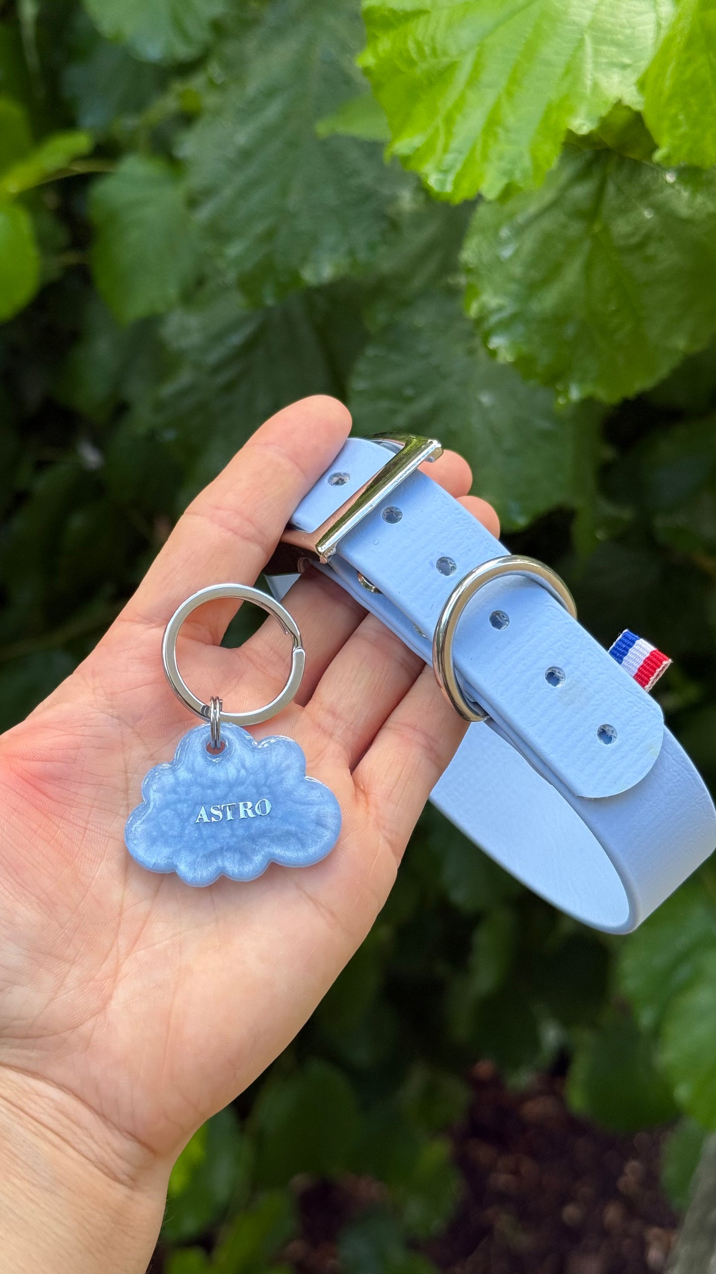 PACK - Bleu Polar